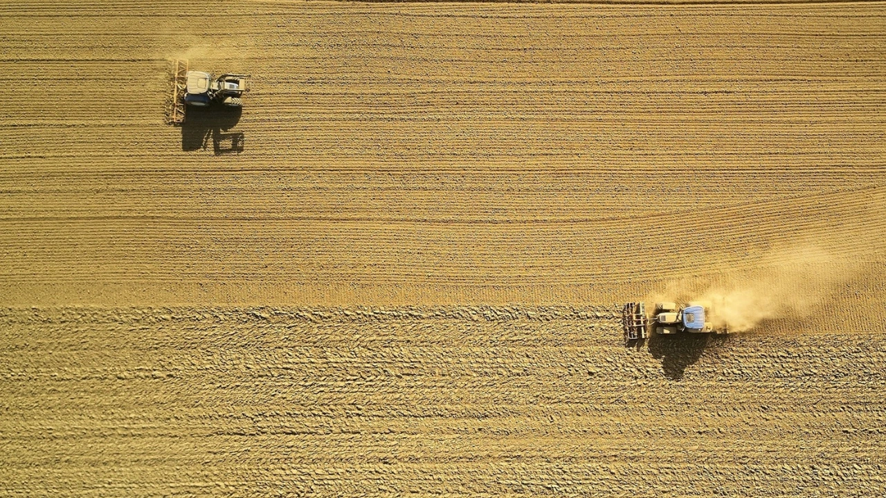 Disinfestazione per aziende agricole: quali soluzioni?