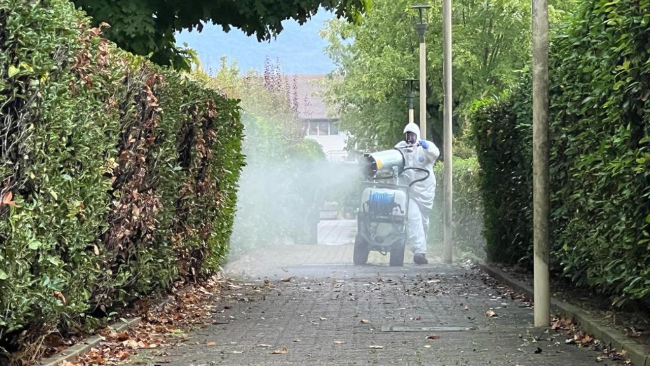 Quando posso aprire le finestre? Cosa sapere sulle campagne di disinfestazione dalle zanzare