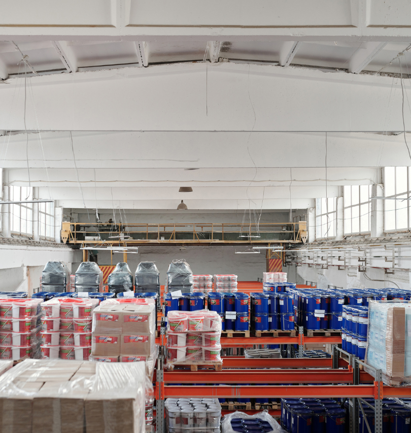 La prevenzione per contenere il rischio della presenza di topi e ratti