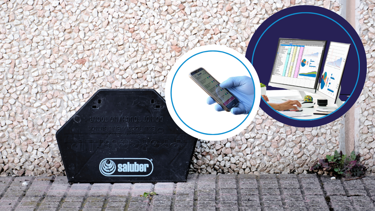 Il valore del monitoraggio nel pest management