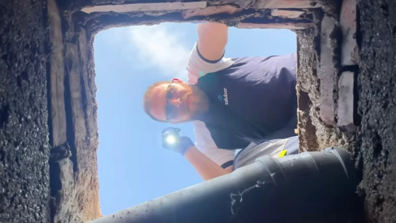 Il servizio di pest control