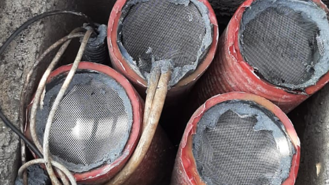 Prevenzione dagli infestanti: la manutenzione e il pest proofing